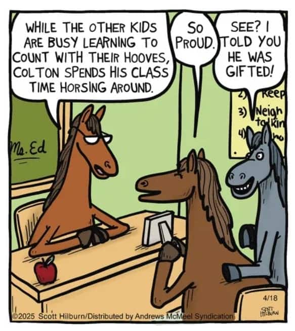 Top Rated Dark Humor Cartoons